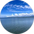 Scott Harrington Avatar