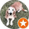 Waltorious &amp;May Avatar